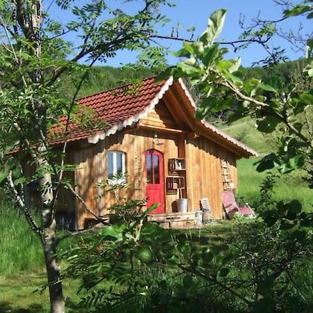 Sonniges-Naturnahes-Schwarzwald-Ferienhaeuschen Welschensteinach Exteriér fotografie