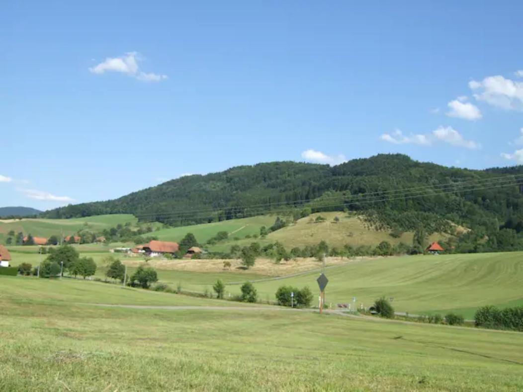 Sonniges-Naturnahes-Schwarzwald-Ferienhaeuschen Welschensteinach Exteriér fotografie