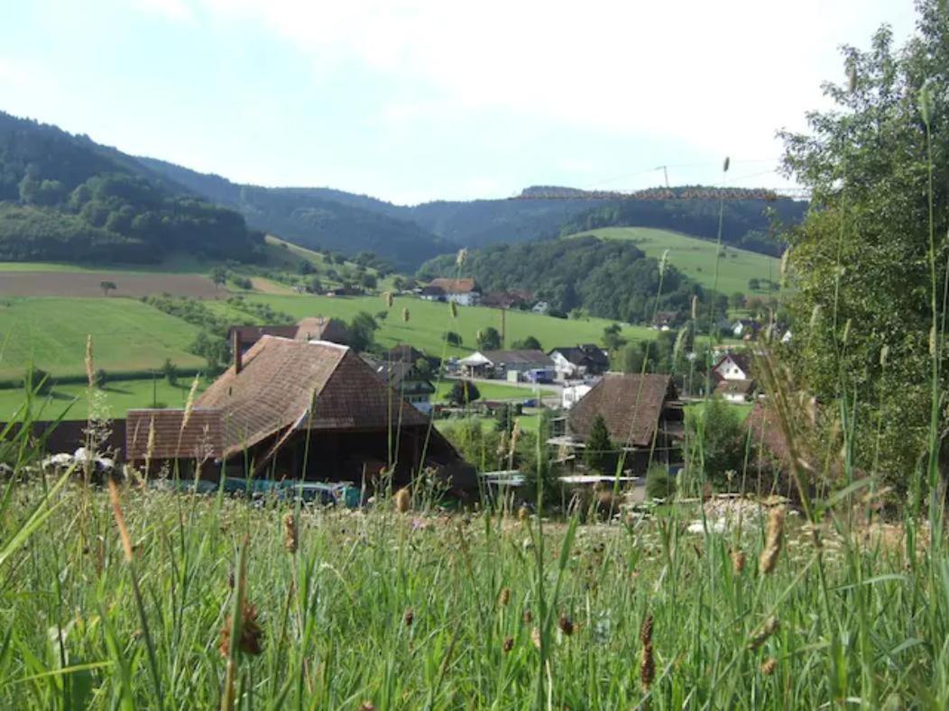 Sonniges-Naturnahes-Schwarzwald-Ferienhaeuschen Welschensteinach Exteriér fotografie