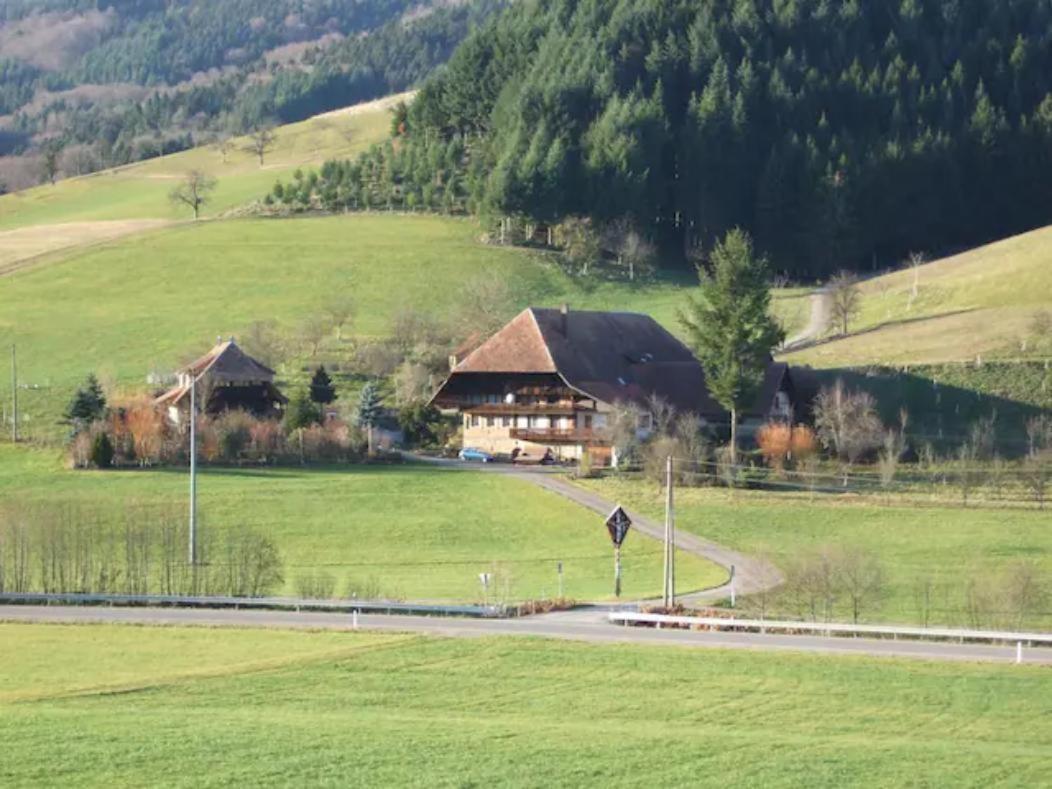 Sonniges-Naturnahes-Schwarzwald-Ferienhaeuschen Welschensteinach Exteriér fotografie